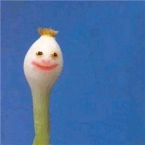 一般人看不出来的情头(优选20张)