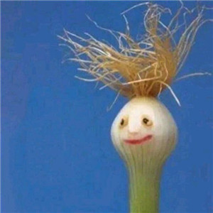 一般人看不出来的情头(优选20张)