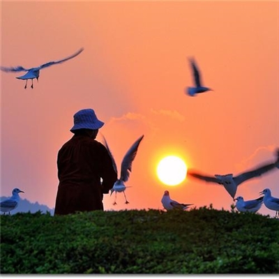 中老年用的头像图片(共18张)