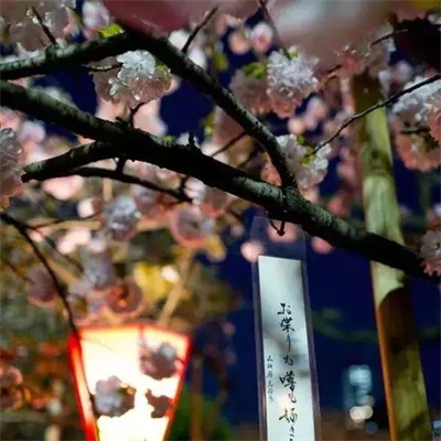 中老年微信头像女风景图片(20张)