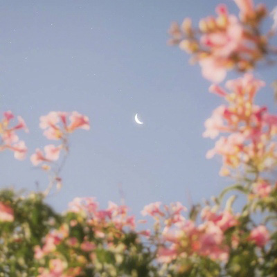 中老年微信头像女风景图片(20张)