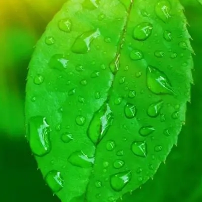 中老年微信头像女风景图片(20张)