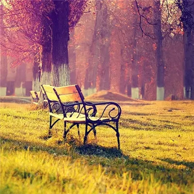 中老年微信头像女风景图片(20张)