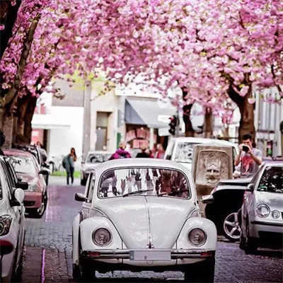 中老年微信头像女风景图片(20张)