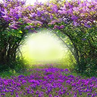 微信头像风景图片大全(20张)