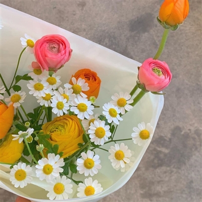 微信头像风景图片大全(20张)