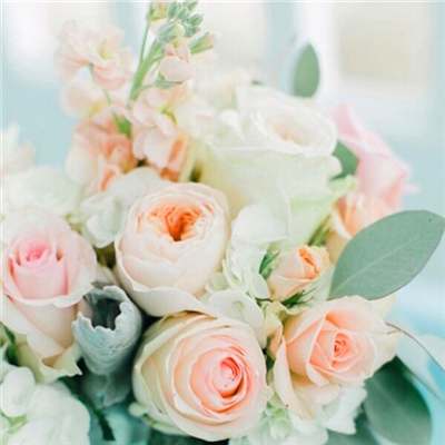 小清新唯美微信头像(共20张)