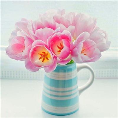 小清新唯美微信头像(共20张)