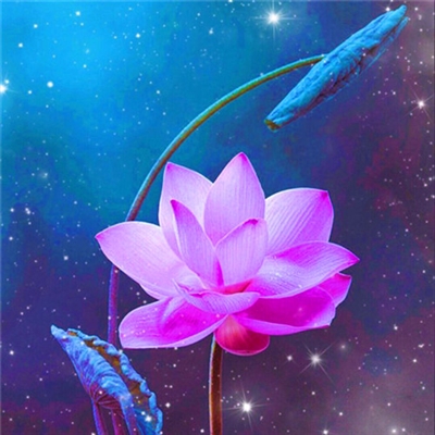 小清新唯美微信头像(共20张)