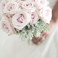 小清新唯美微信头像(共20张)