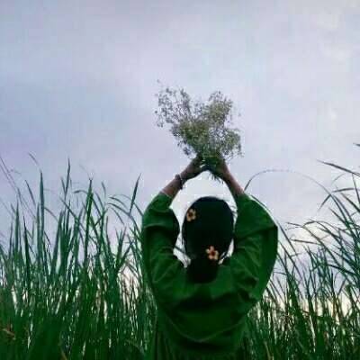 清新脱俗森系女生头像(精选20张)