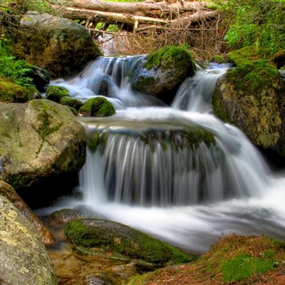 2023年最好看的风景微信头像(优选24张)