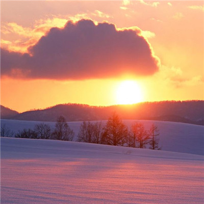 成熟男人头像图片大全(共16张)