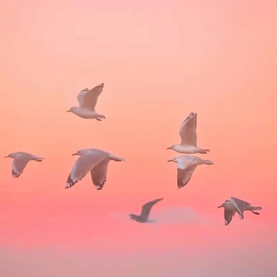 超有意境唯美微信头像(18张)