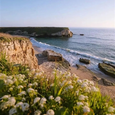 2023最流行的微信头像图片(精选26张)