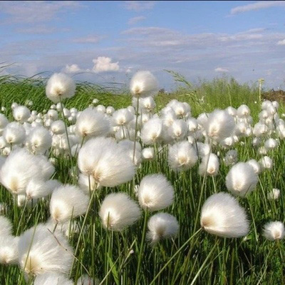 好运气的风景微信头像(共22张)