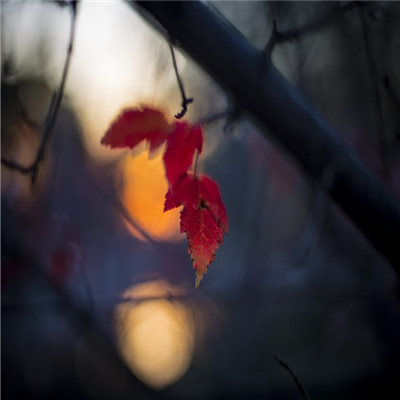 意境好运的头像图片(优选22张)