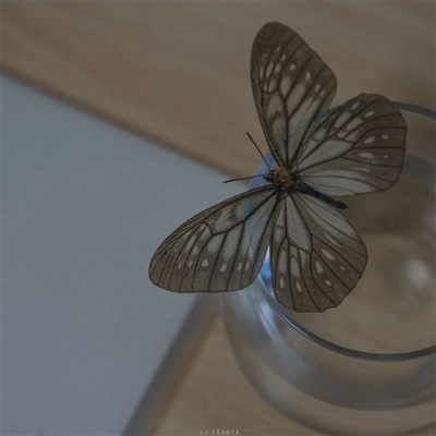 意境好运的头像图片(优选22张)