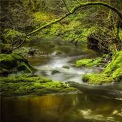 唯美风景头像图片大全(24张)