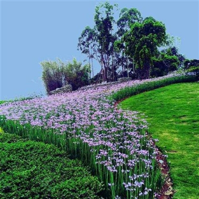 唯美风景头像图片大全(24张)