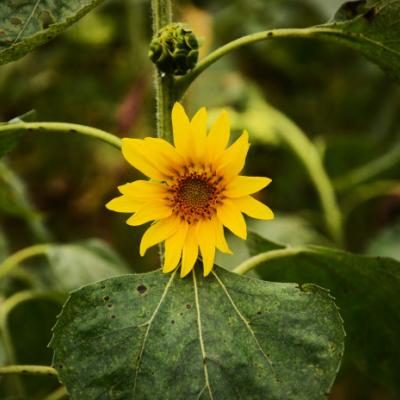 唯美风景头像图片大全(24张)