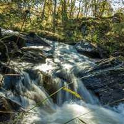 唯美风景头像图片大全(24张)