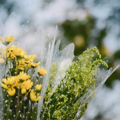 唯美风景头像图片大全(24张)