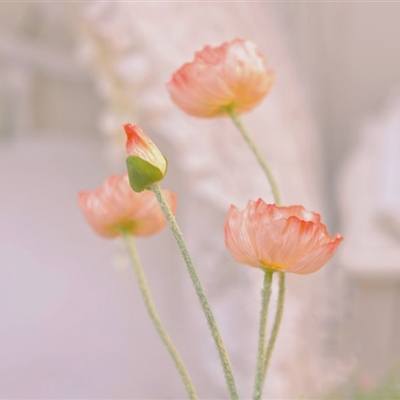 优美微信风景头像图片(共26张)