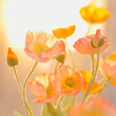 优美微信风景头像图片(共26张)