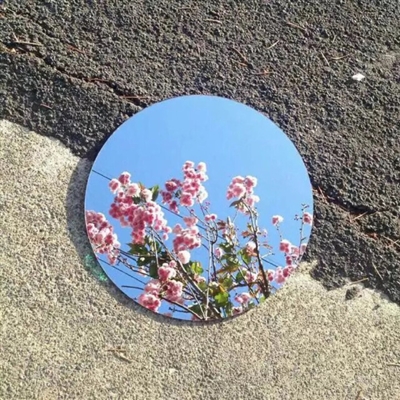 优美微信风景头像图片(共26张)