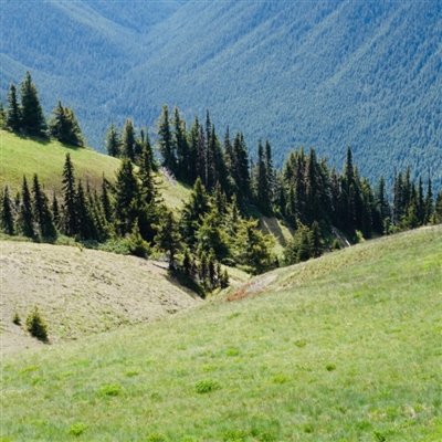 优美微信风景头像图片(共26张)