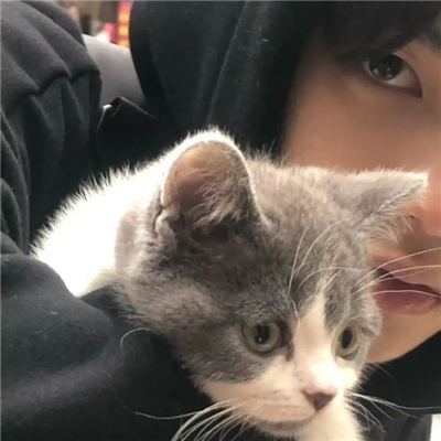 高级有质感的惊艳男头(精选20张)