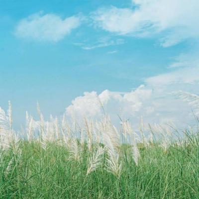 1623年最流行的微信头像(精选20张)