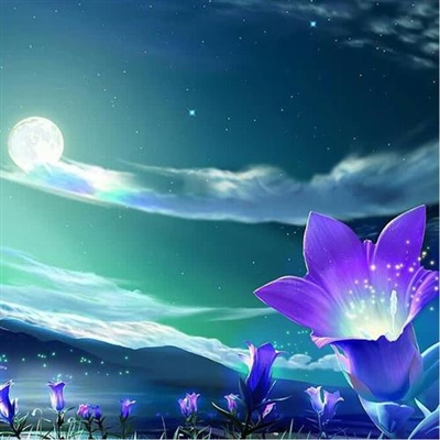 值得一辈子不换的头像(共24张)