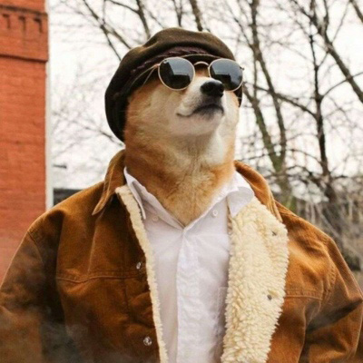 一狗一女左右情侣头像(精选18张)