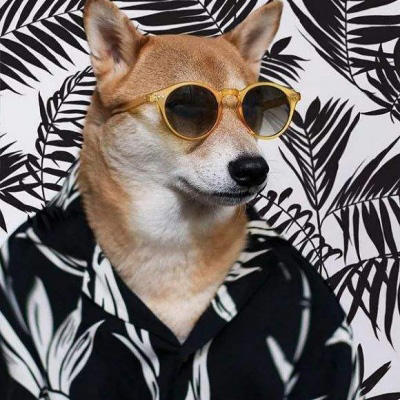 一狗一女左右情侣头像(精选18张)