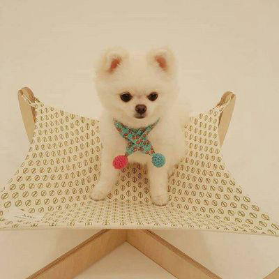 一狗一女左右情侣头像(精选18张)