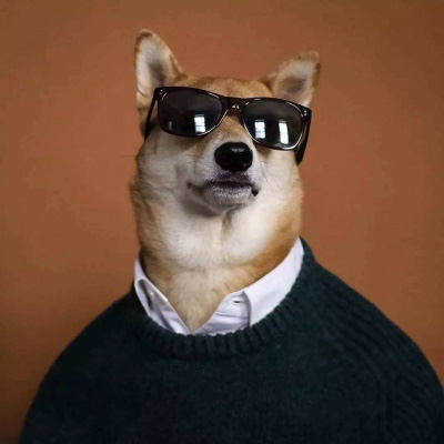 一狗一女左右情侣头像(精选18张)