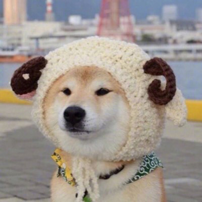 一狗一女左右情侣头像(精选18张)