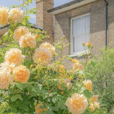 微信头像图片2023风景头像(共18张)