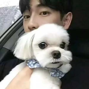 男生抱着动物的情头(精选18张)