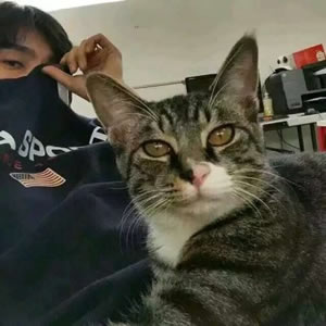 男生抱着动物的情头(精选18张)