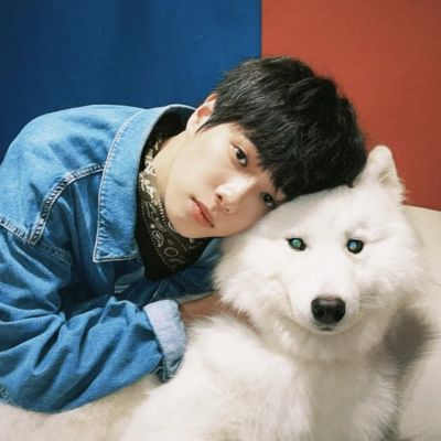 男生抱着动物的情头(精选18张)