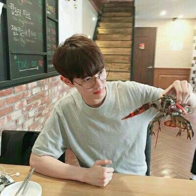 男生抱着动物的情头(精选18张)