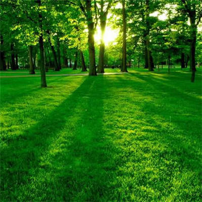 风水上最好的微信头像(18张)