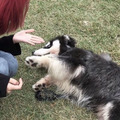 特别漂亮特别甜的情头(优选18张)