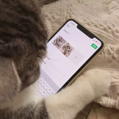 简约大气的微信头像(18张)