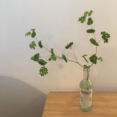 阳光干净的微信头像(20张)