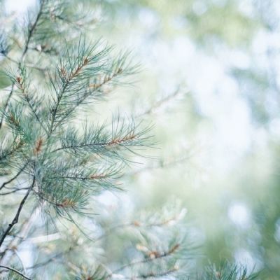 阳光干净的微信头像(20张)