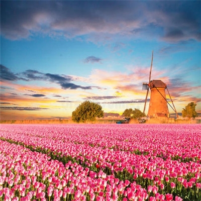 阳光干净的微信头像(20张)